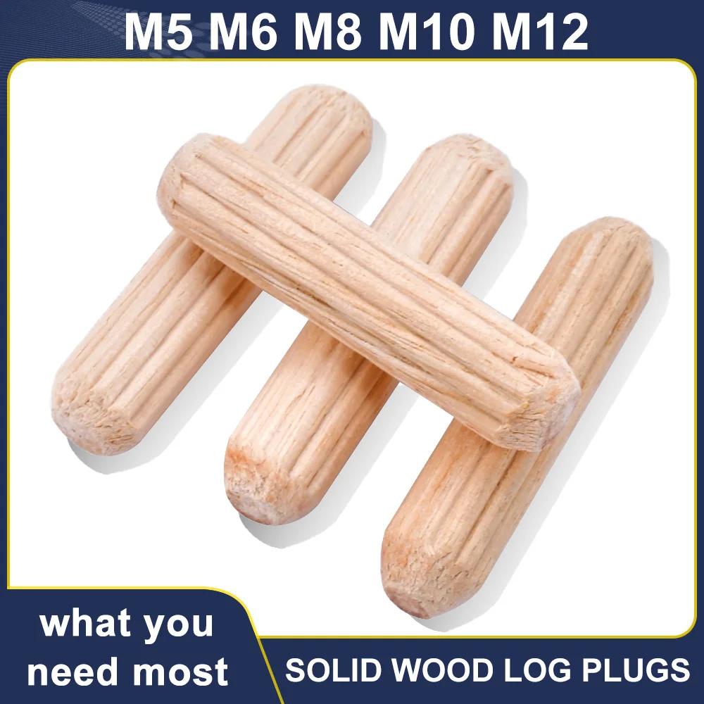 DIY   Ʈ M5-M12    Ʈ,  ׼ ,  ÷Ʈ   , 150 